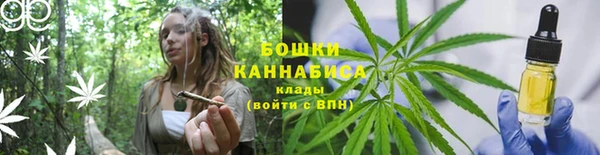 МДПВ Каменка