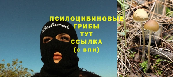 стаф Алексеевка
