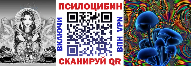 цена   Тула  Галлюциногенные грибы Psilocybine cubensis 