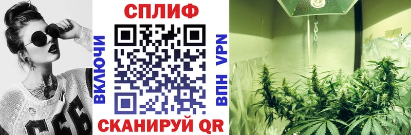 МАРИХУАНА THC 21% как найти Тула